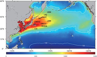 Influence of atmospheric dust deposition on sinking particle flux in the northwest Pacific